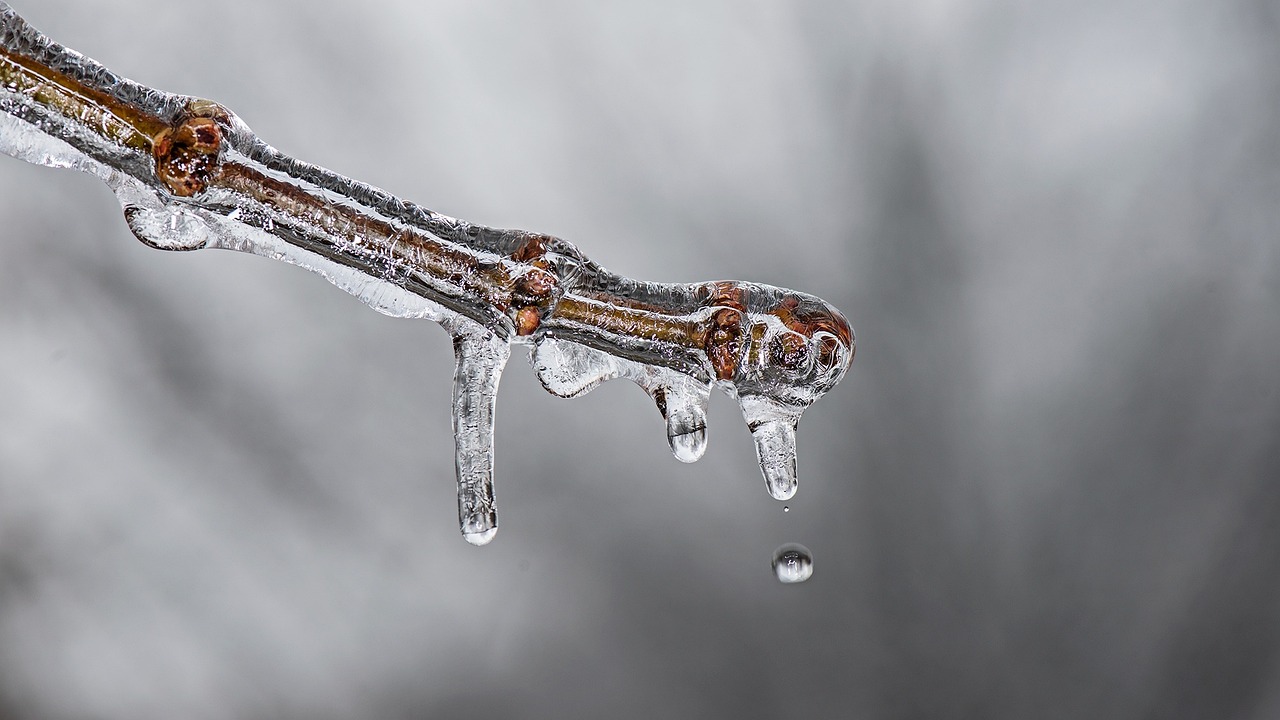 ¿Como el suelo afecta el clima?
