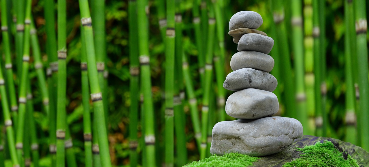 ¿Cómo hacer el diseño de un jardín?