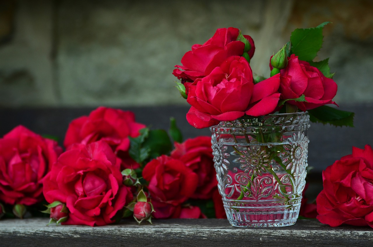 ¿Cómo se cuidan las rosas de Pitimini?