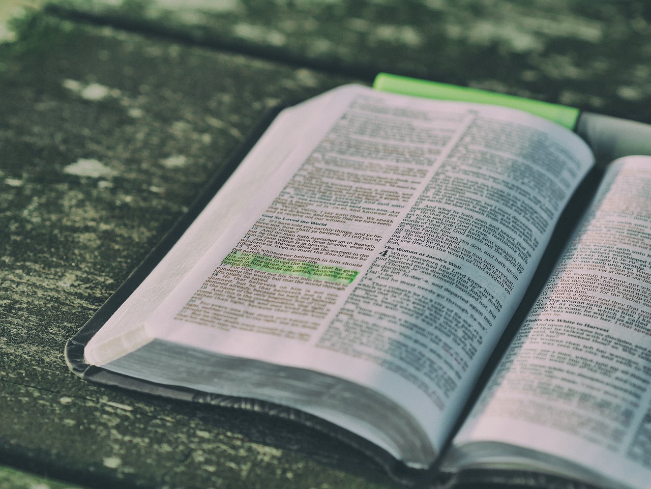 ¿Cuáles son las 10 plagas de la Biblia?