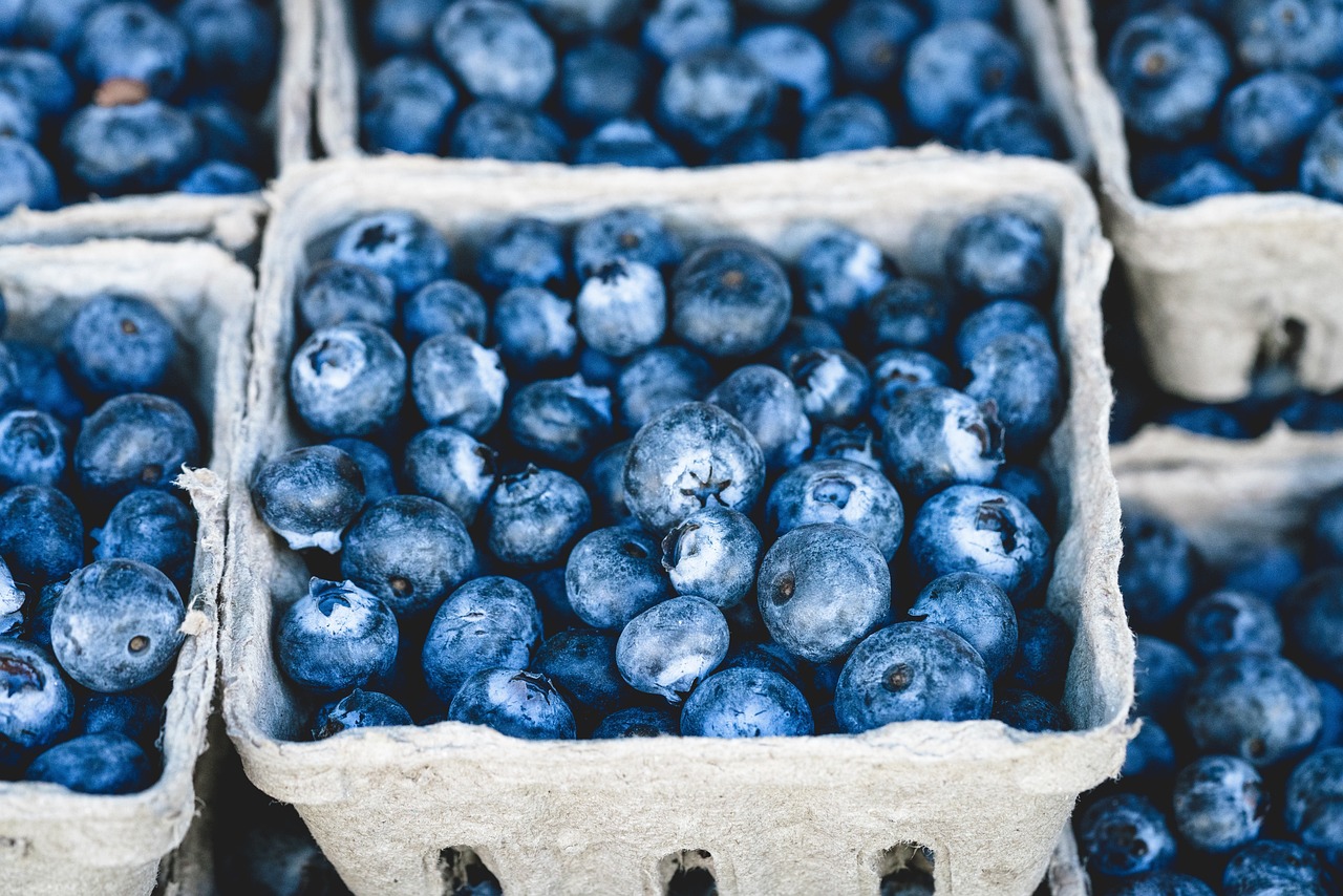¿Cuáles son los árboles que dan frutos?