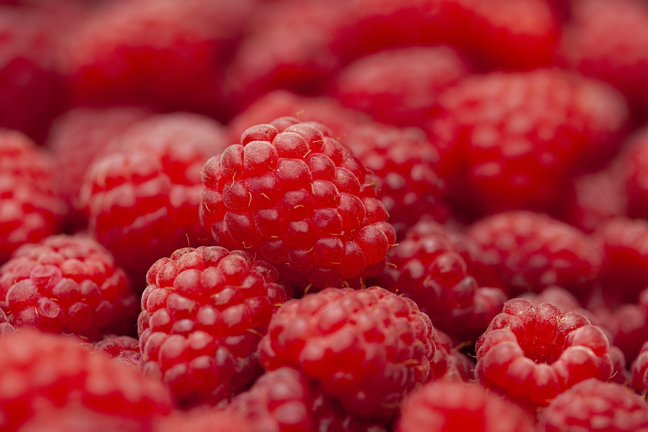 ¿Cuánto tiempo tarda en dar fruto la frambuesa?