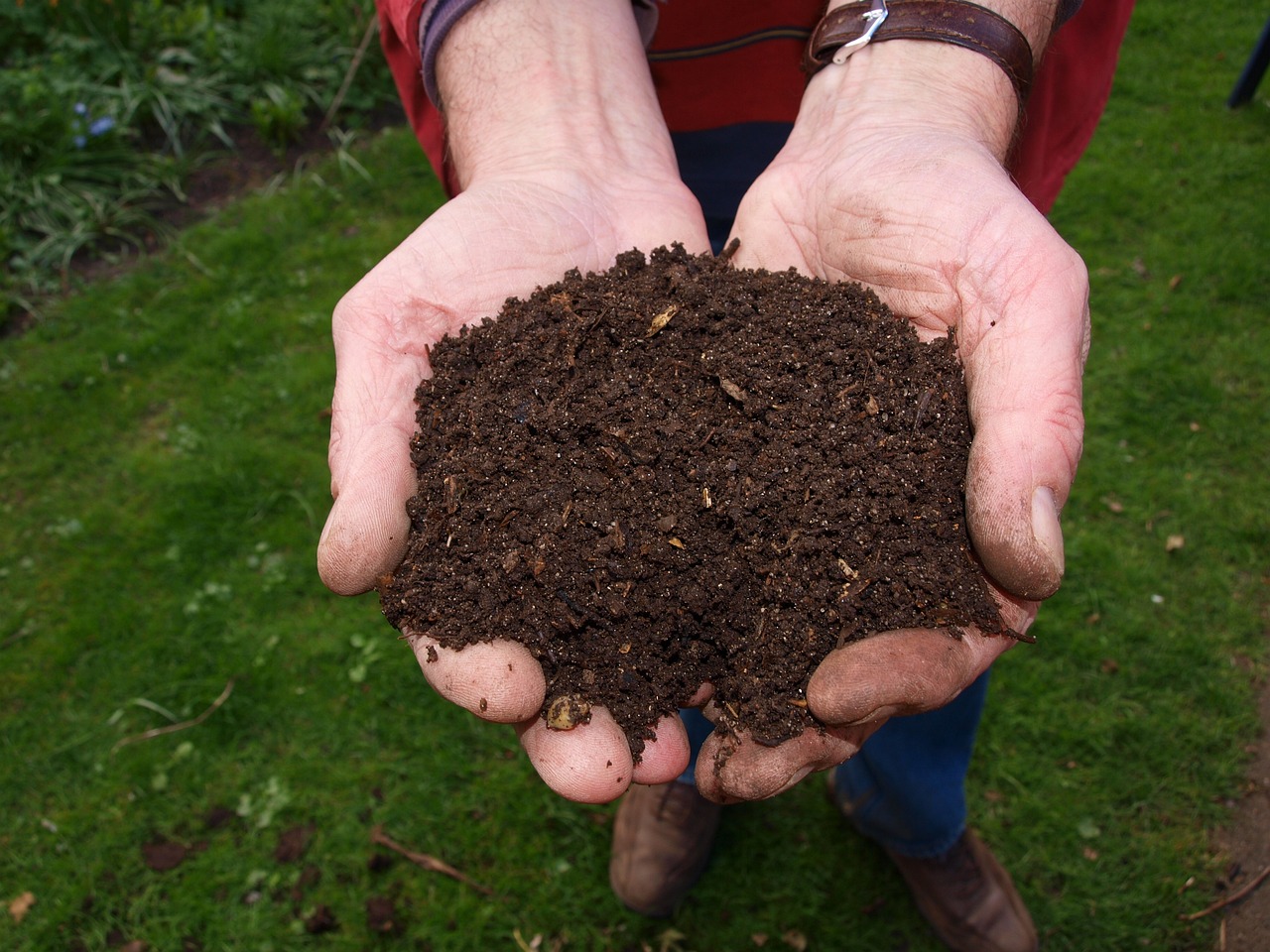 ¿Qué es el compost y cómo se prepara?