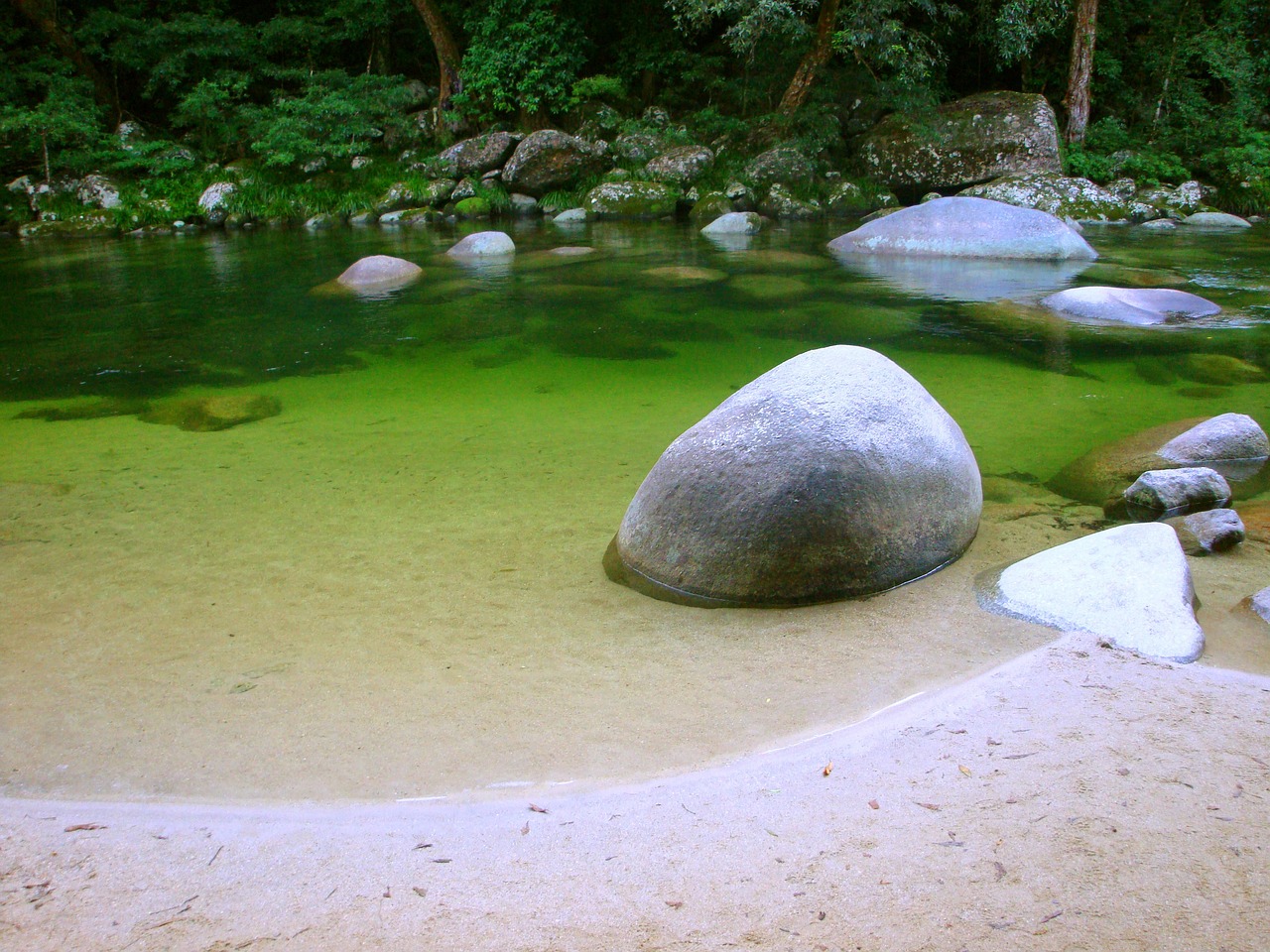 ¿Qué es una piscina ecologica?