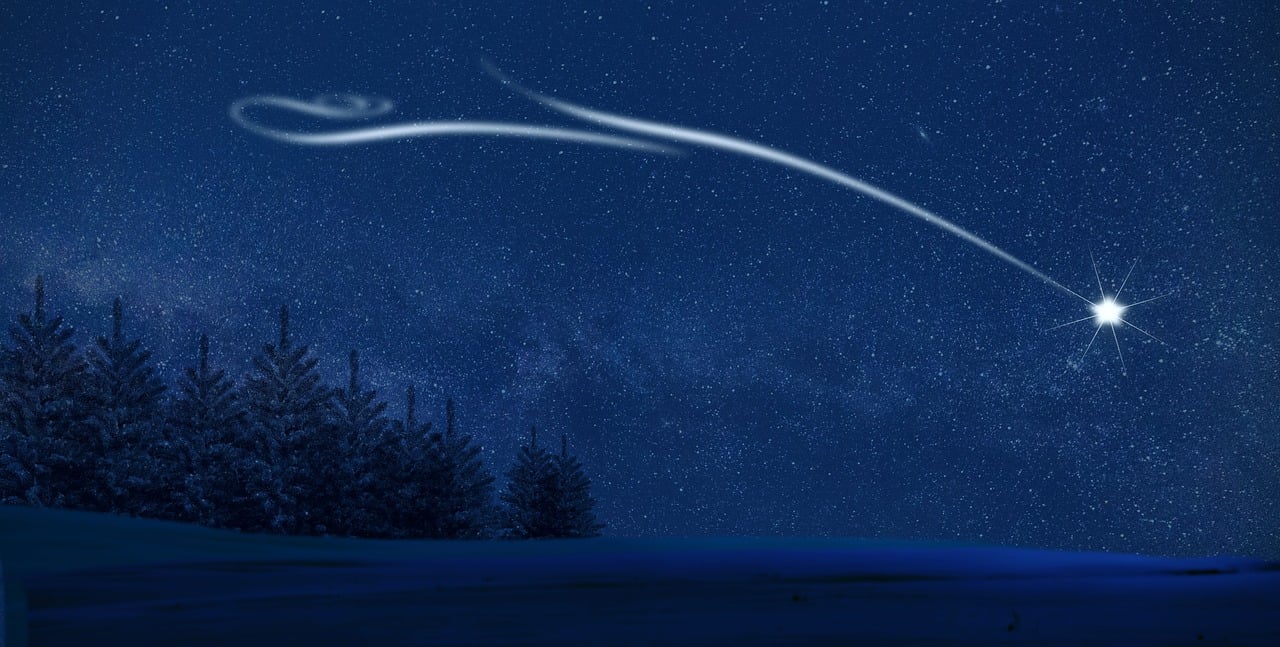¿Cuánto dura un abeto de Navidad?