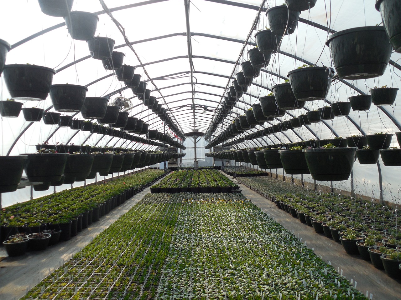 ¿Qué es un semillero horticola?