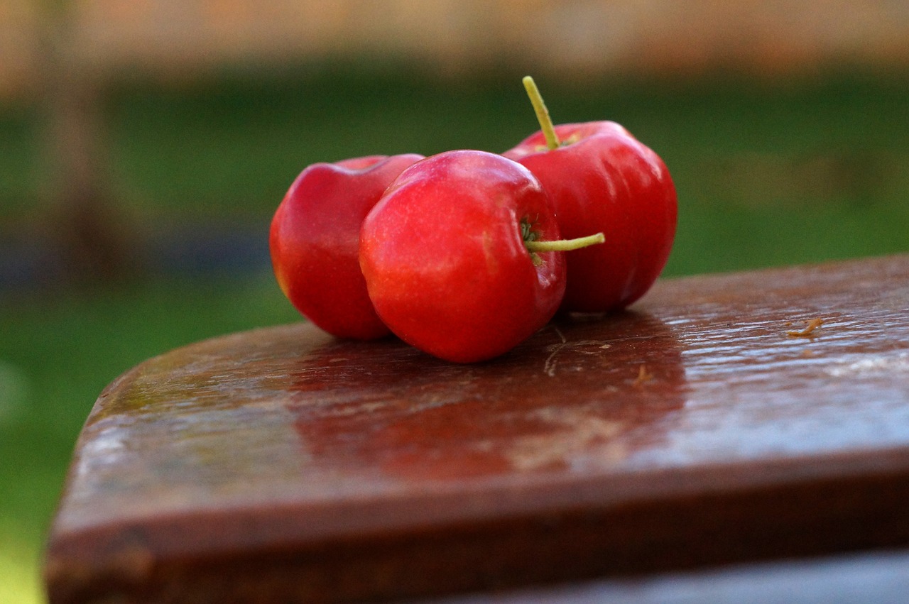 ¿Qué es y para qué sirve la acerola?