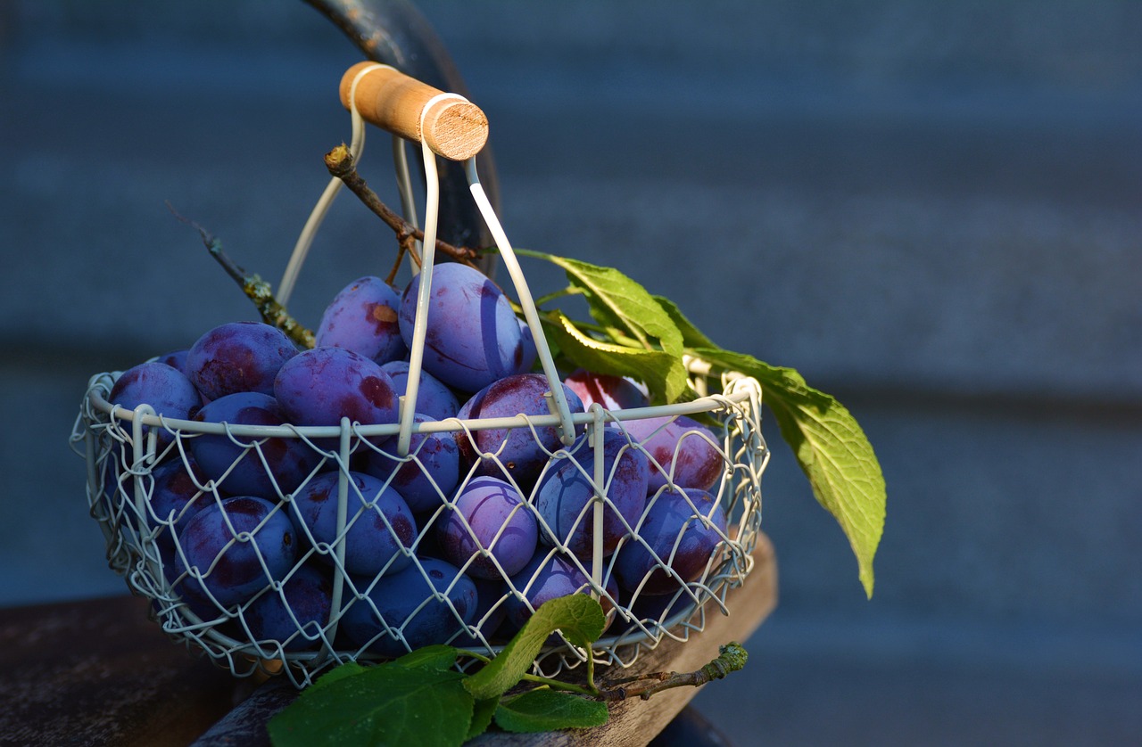 ¿Qué tipo de laurel es comestible?