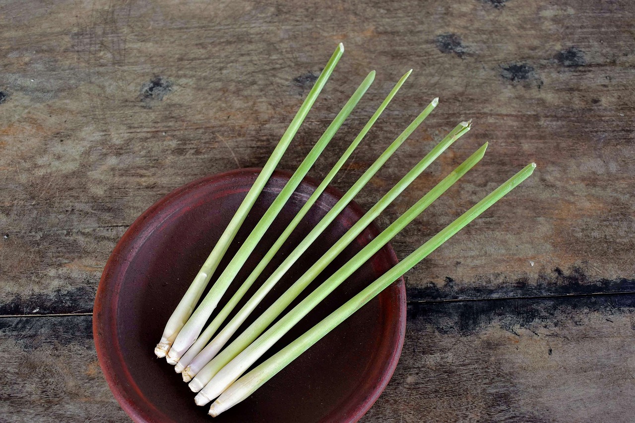¿Cómo se llama el lemongrass en español?