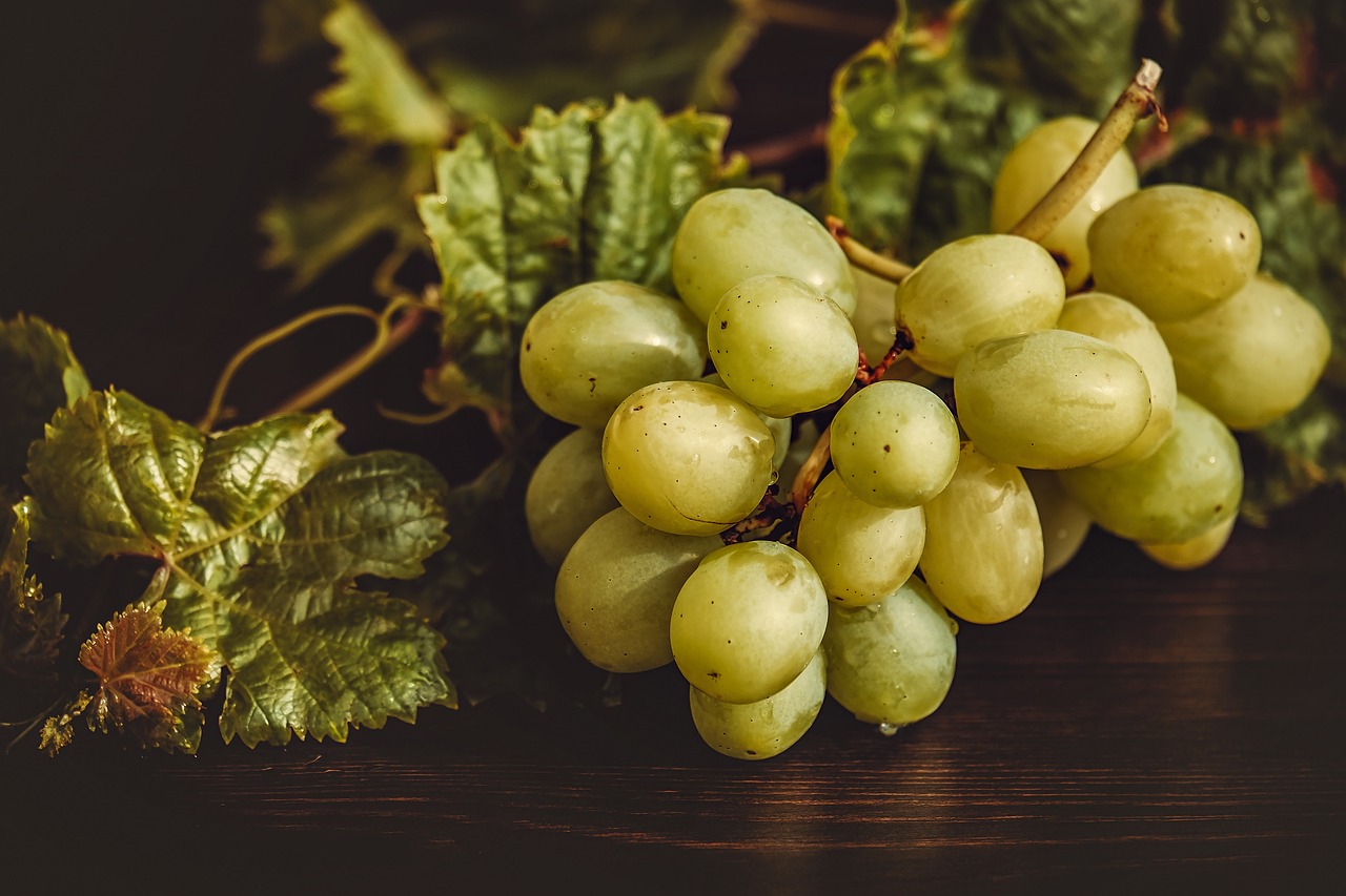 ¿Cómo se llama el tallo de las uvas?