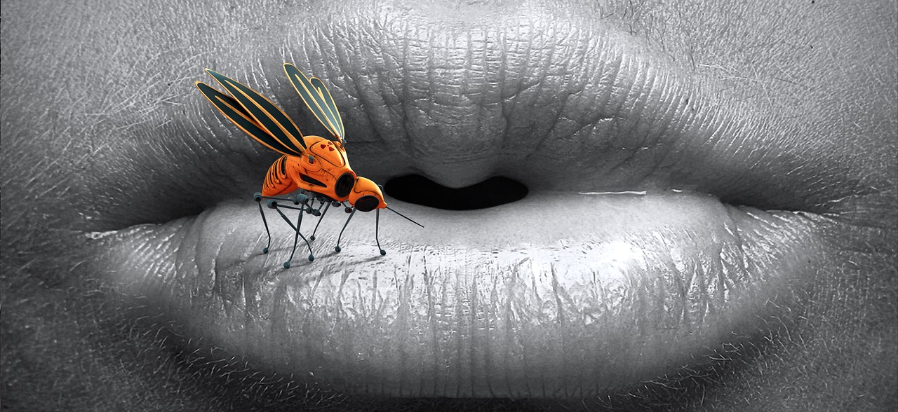¿Qué hace el mosquito verde?