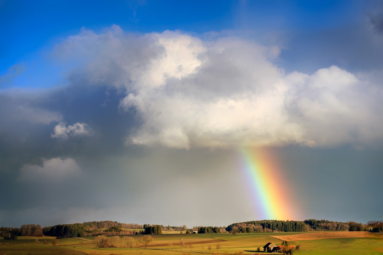 ¿Cómo se llama cuando la lluvia cae al suelo?