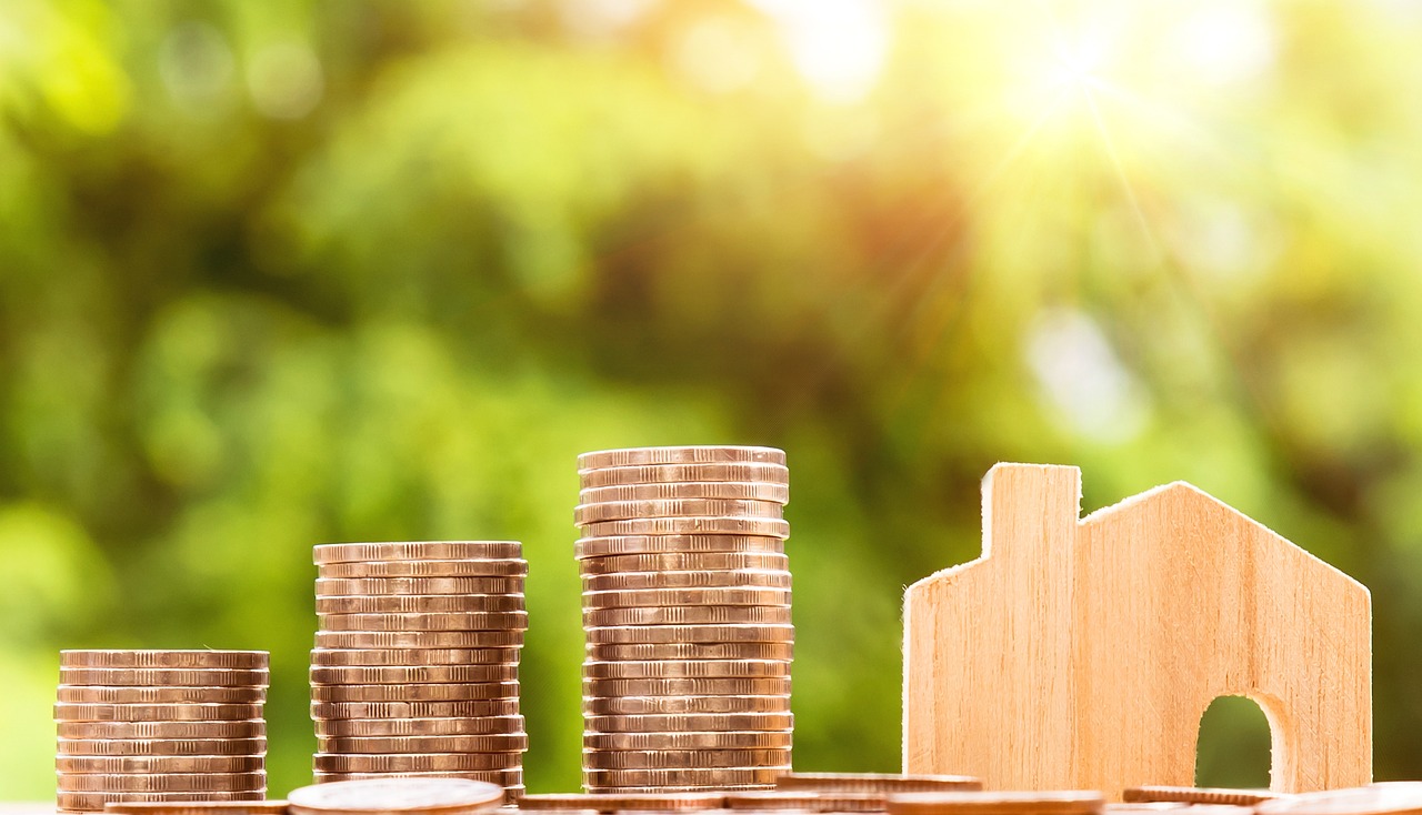 ¿Cuál es el precio de un erizo?