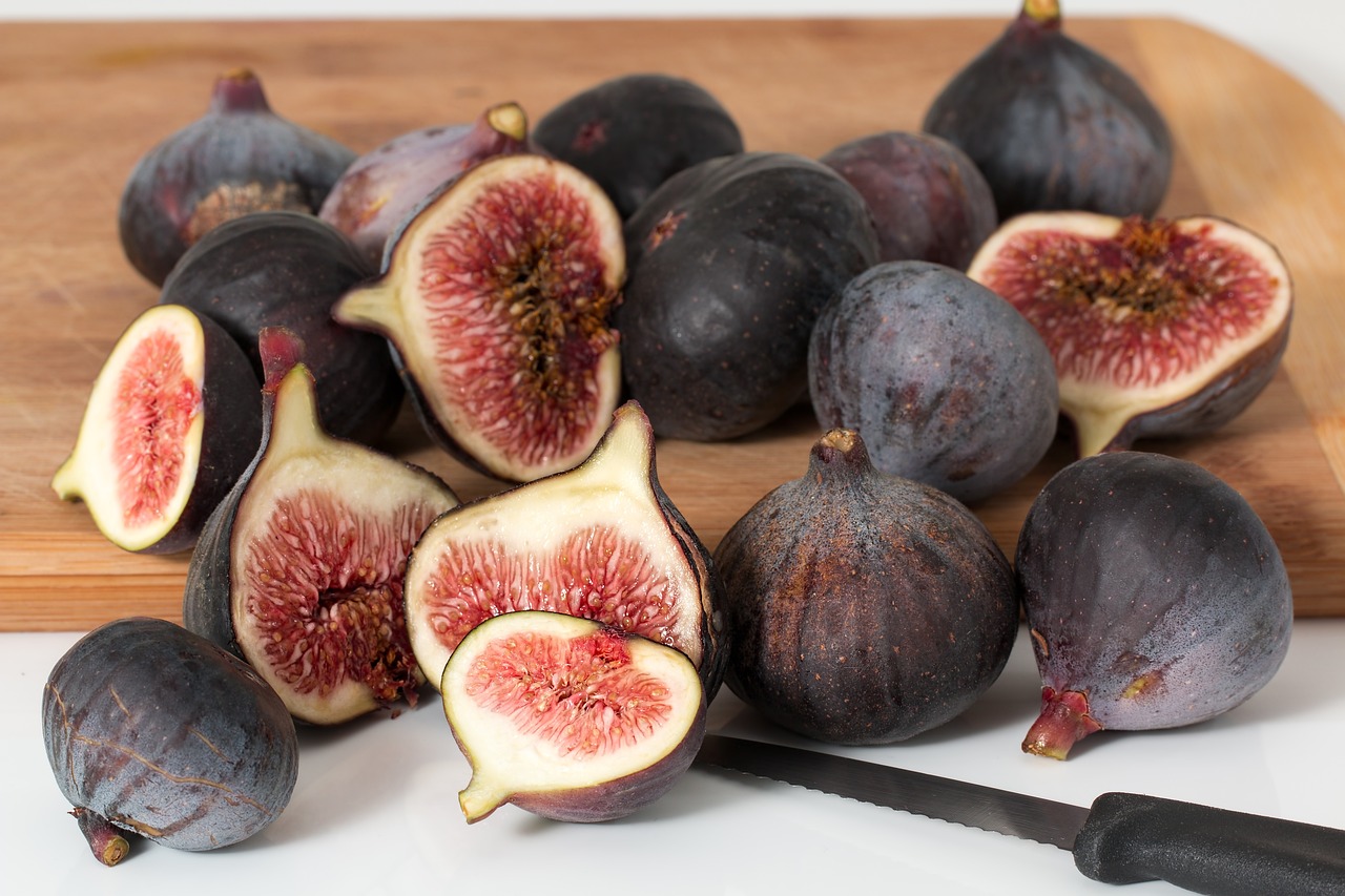 ¿Qué tipos de ficus hay?