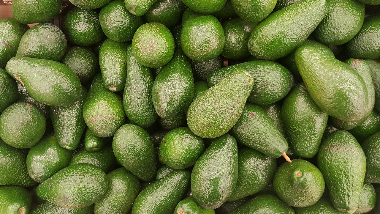 ¿Cómo saber si un árbol es de aguacate?
