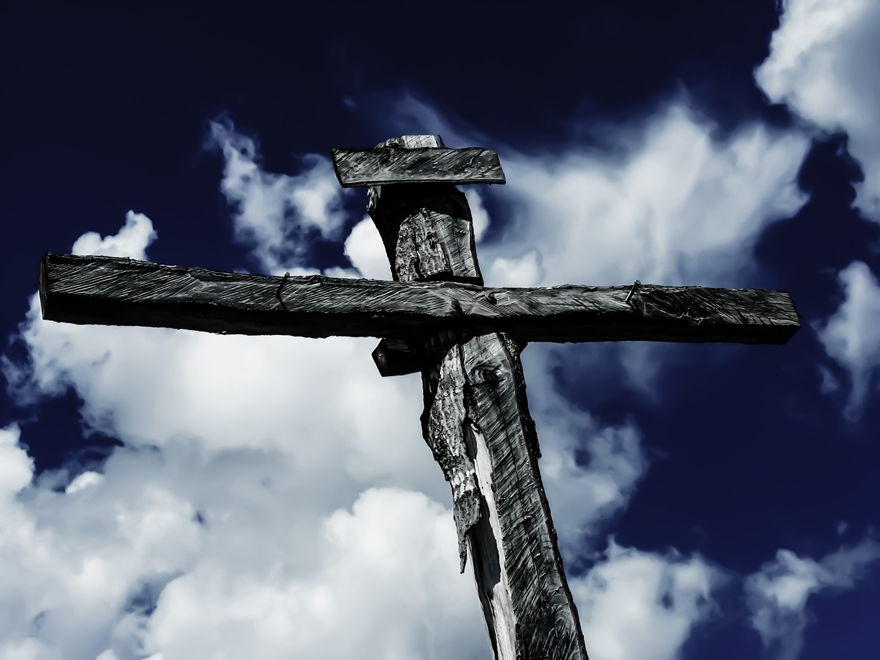 ¿Cuál es la flor de Cristo?
