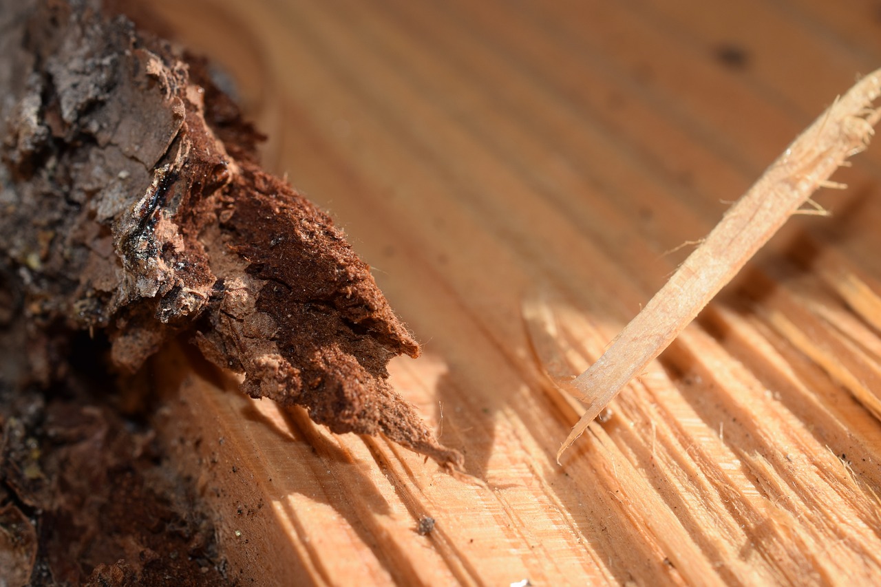 ¿Qué es el mulching?