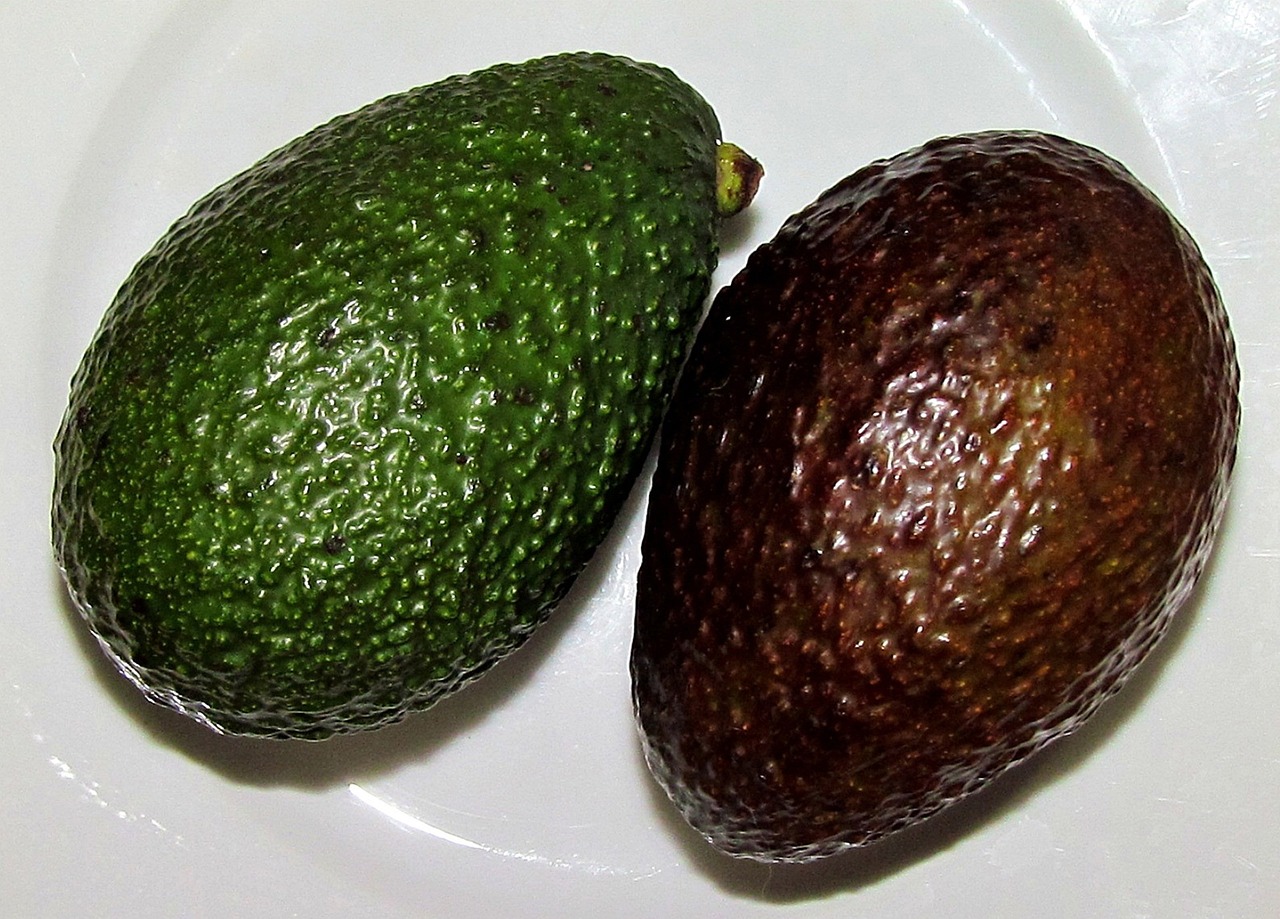 ¿Cuánto tarda en crecer la semilla de aguacate?