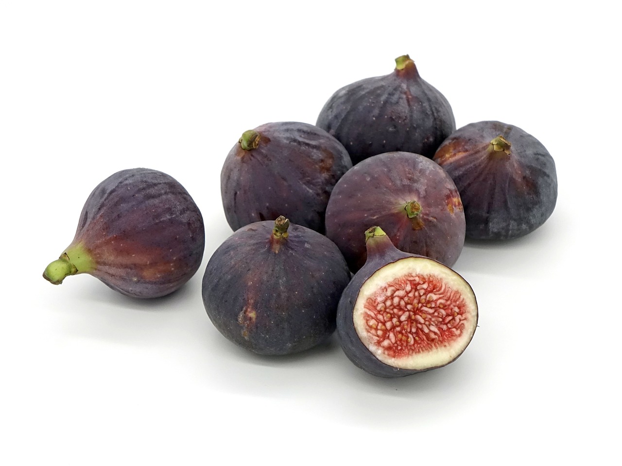 ¿Qué árbol es el ficus?