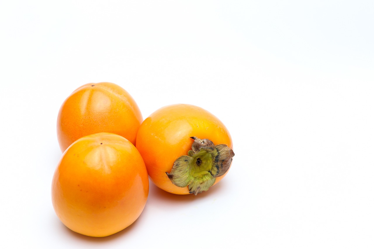 ¿Qué significa Diospyros?