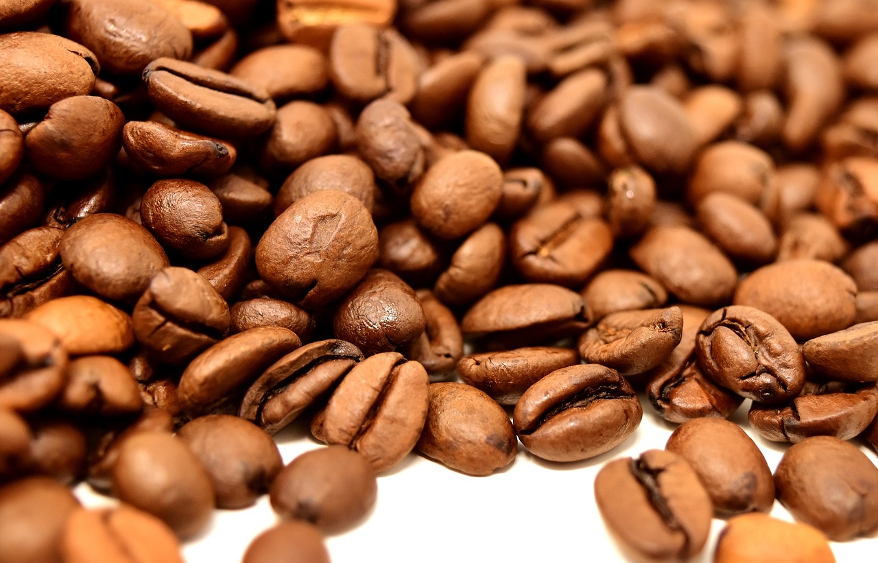 ¿Qué son las semillas aromáticas?