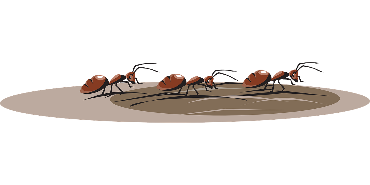 ¿Cómo acabar con todas las hormigas que tengo en el jardín?