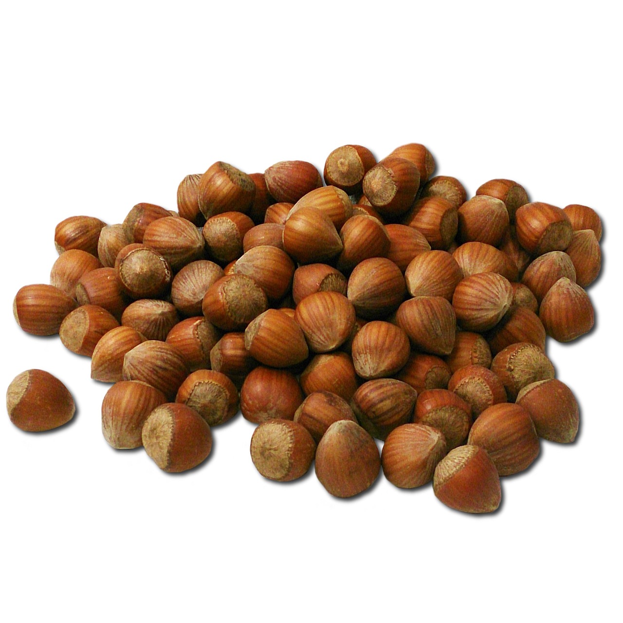 ¿Cuánto tarda en dar fruto un avellano?