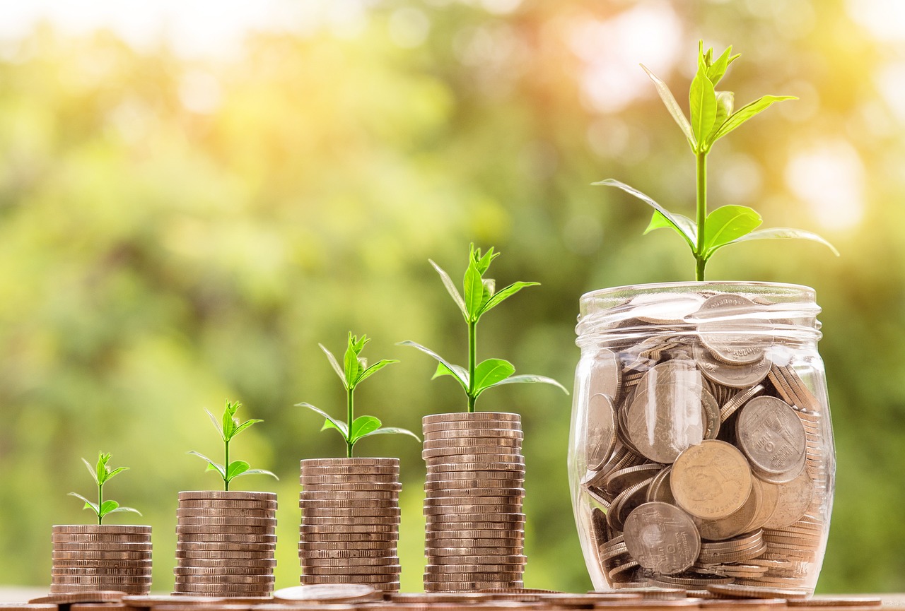 ¿Dónde se pone la planta de dinero?