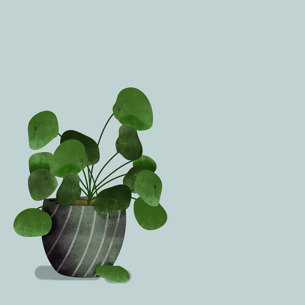 ¿Qué abono necesita la sansevieria?