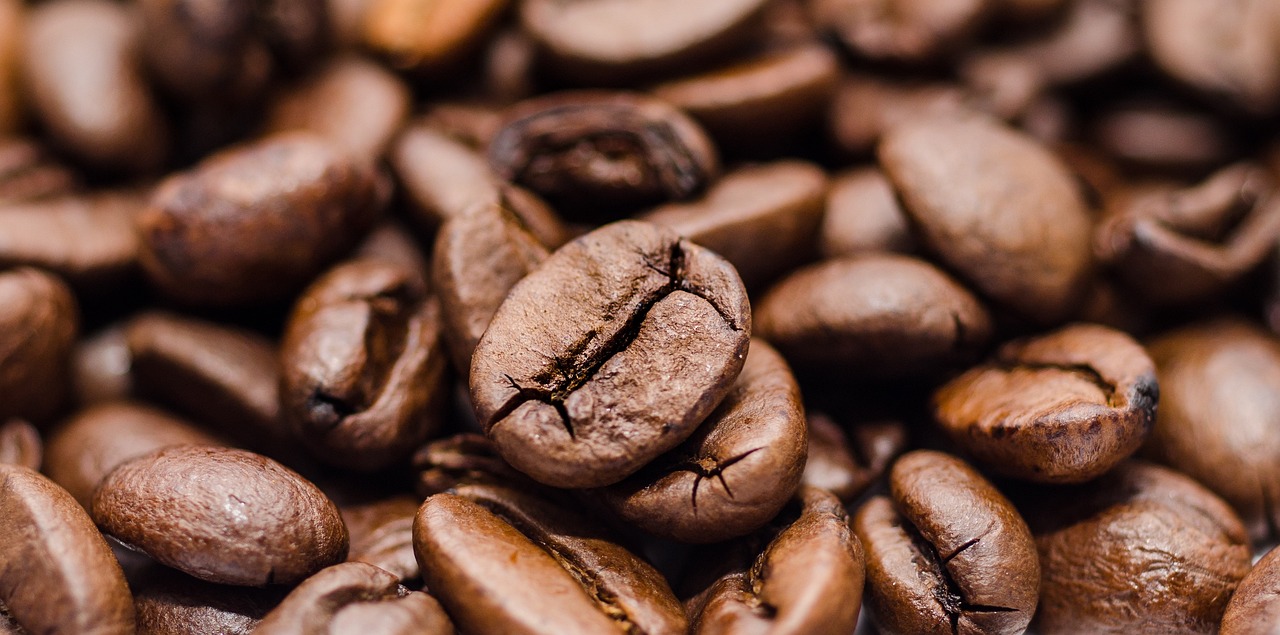 ¿Qué diferencia hay entre las alubias y los frijoles?