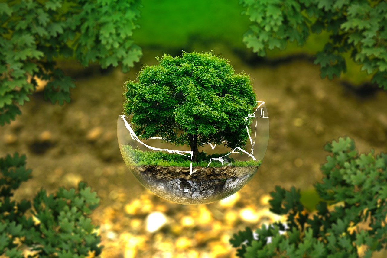 ¿Qué es el abono orgánico o ecológico?
