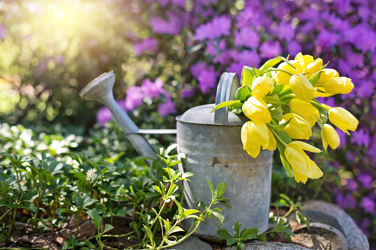 ¿Qué es una regadera para plantas?