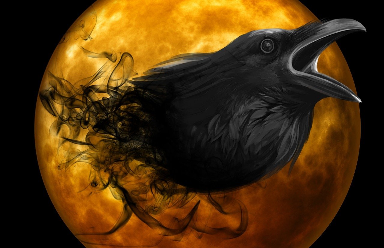 ¿Que se puede poner para espantar los pájaros?