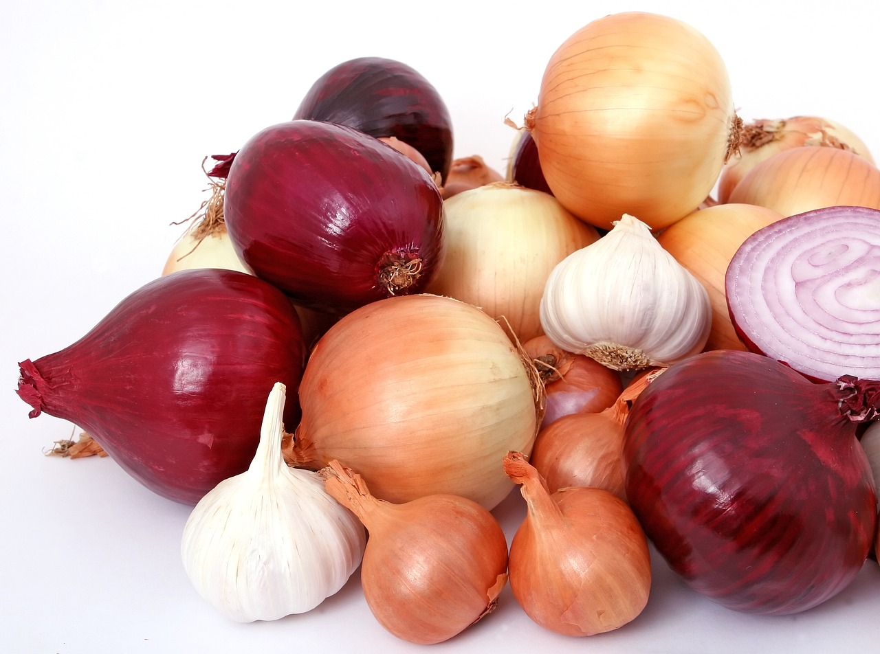 ¿Cuáles son los bulbos de otoño?