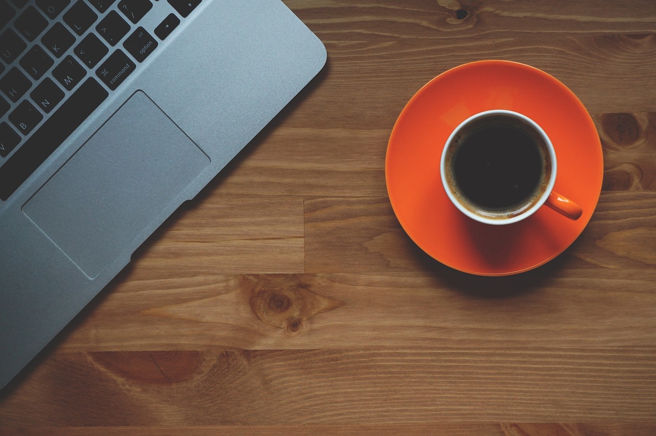 ¿Cuáles son los tipos de plantas del café?