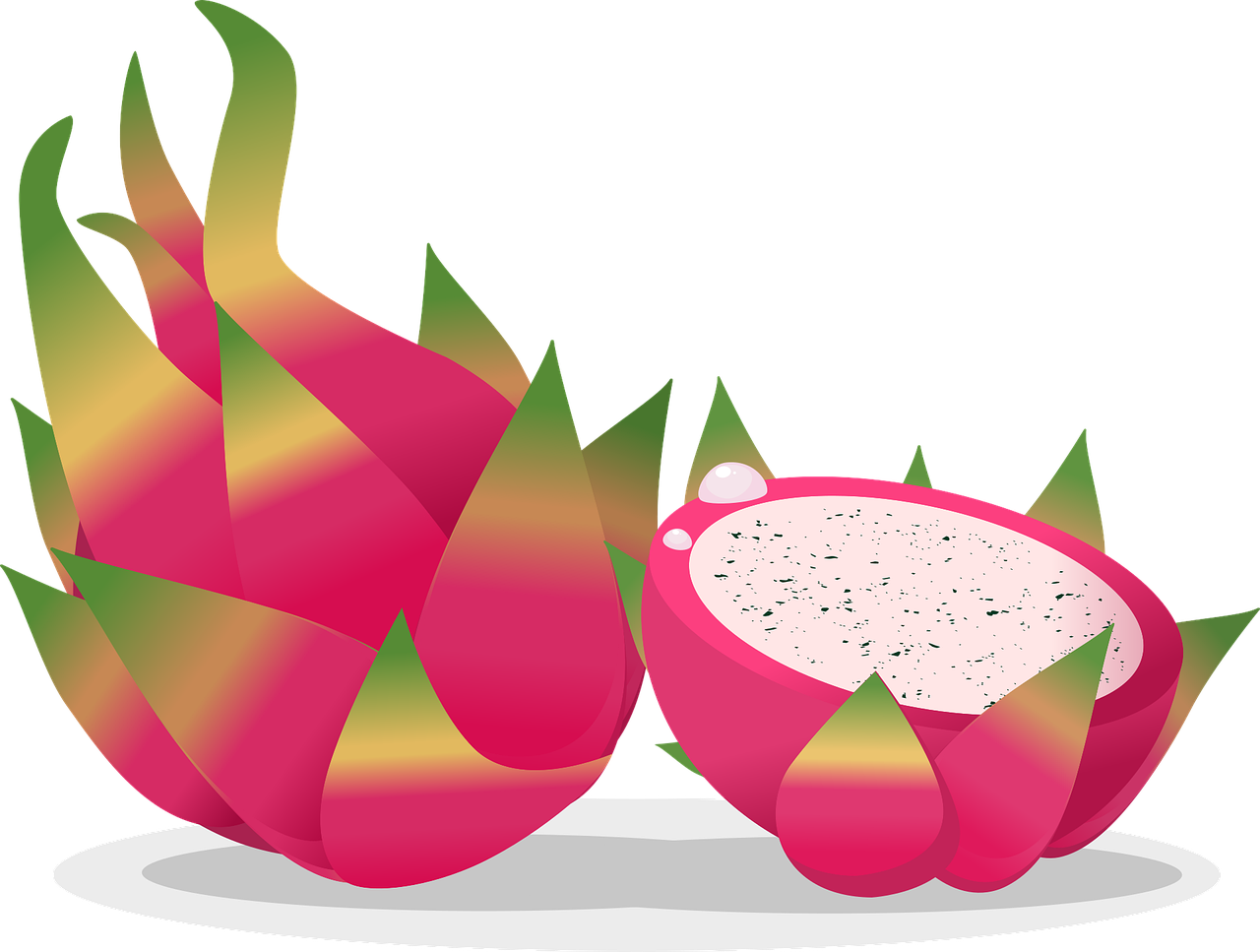 ¿Cuánto tarda un árbol de pitaya en dar frutos?