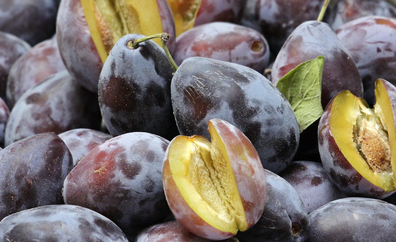 ¿Cuánto tiempo tarda en dar fruta un ciruelo?