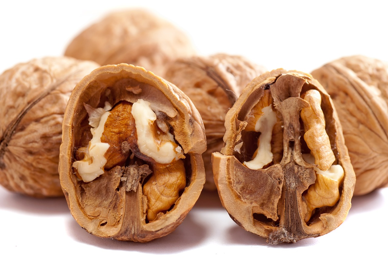 ¿Qué diferencia hay entre bulbo y semilla?
