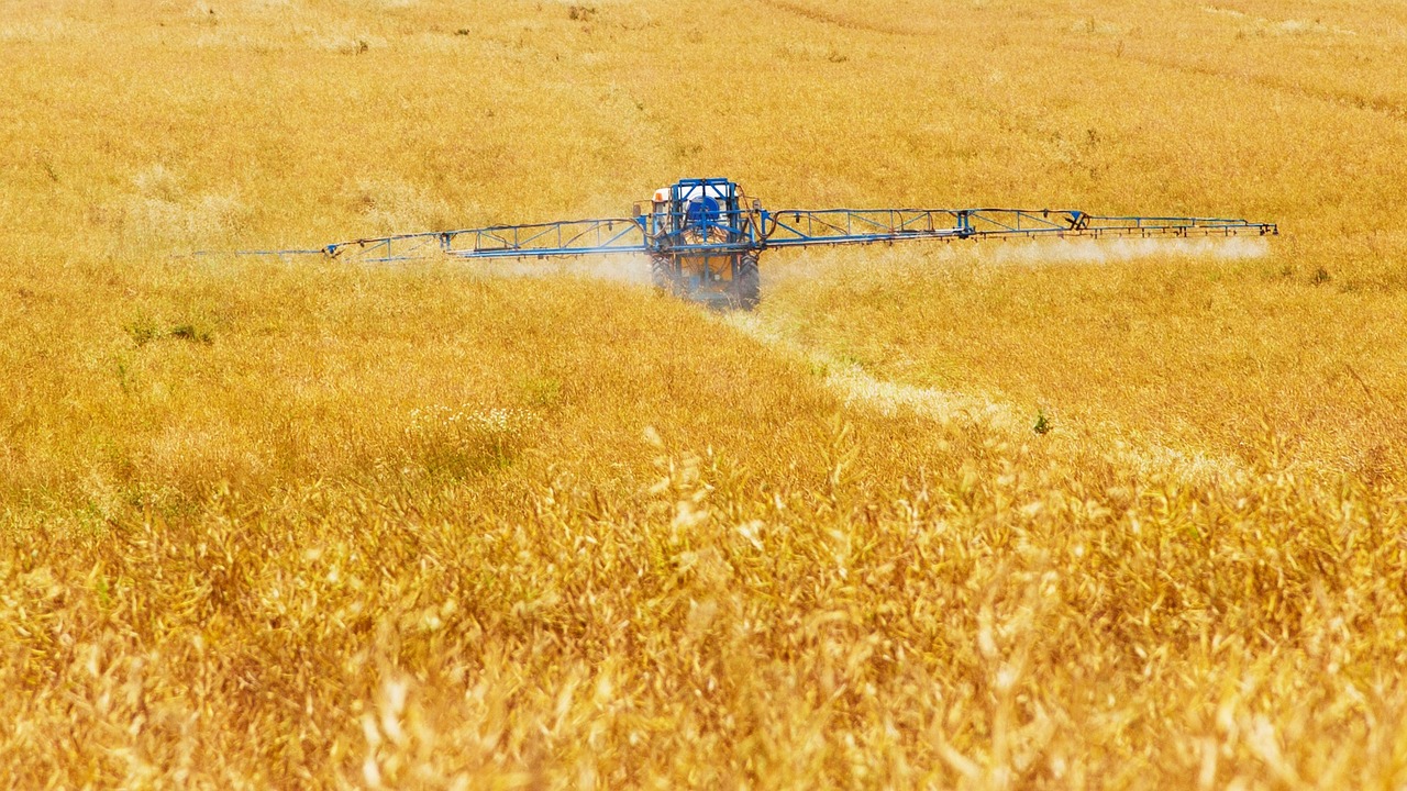 ¿Qué fertilizante se usa para el césped?