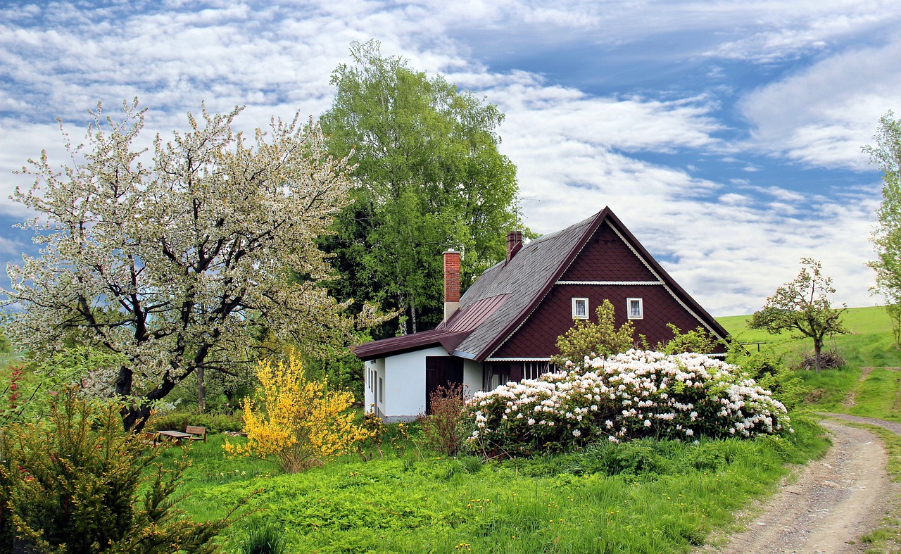 ¿Qué piedra se usa para decorar jardines?