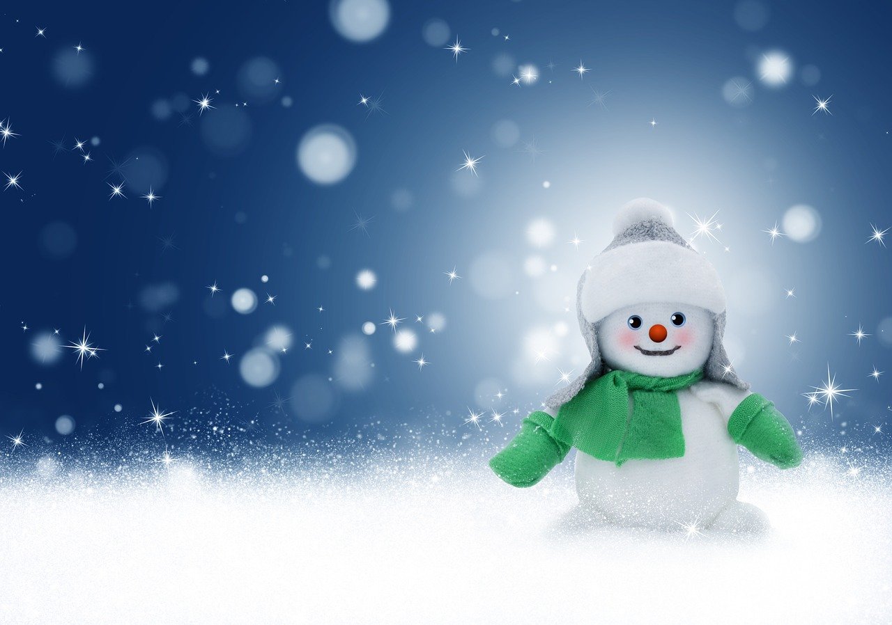 ¿Qué tipos de árboles de Navidad hay?