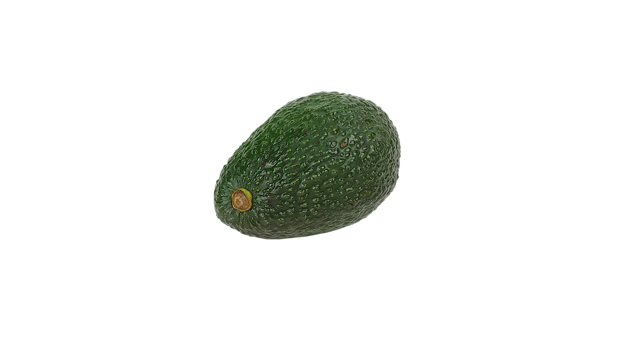 ¿Cómo se debe cuidar una planta de aguacate?