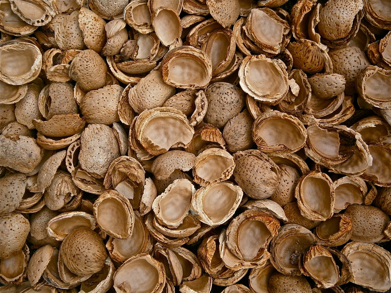 ¿Cuántas variedades hay de almendras?