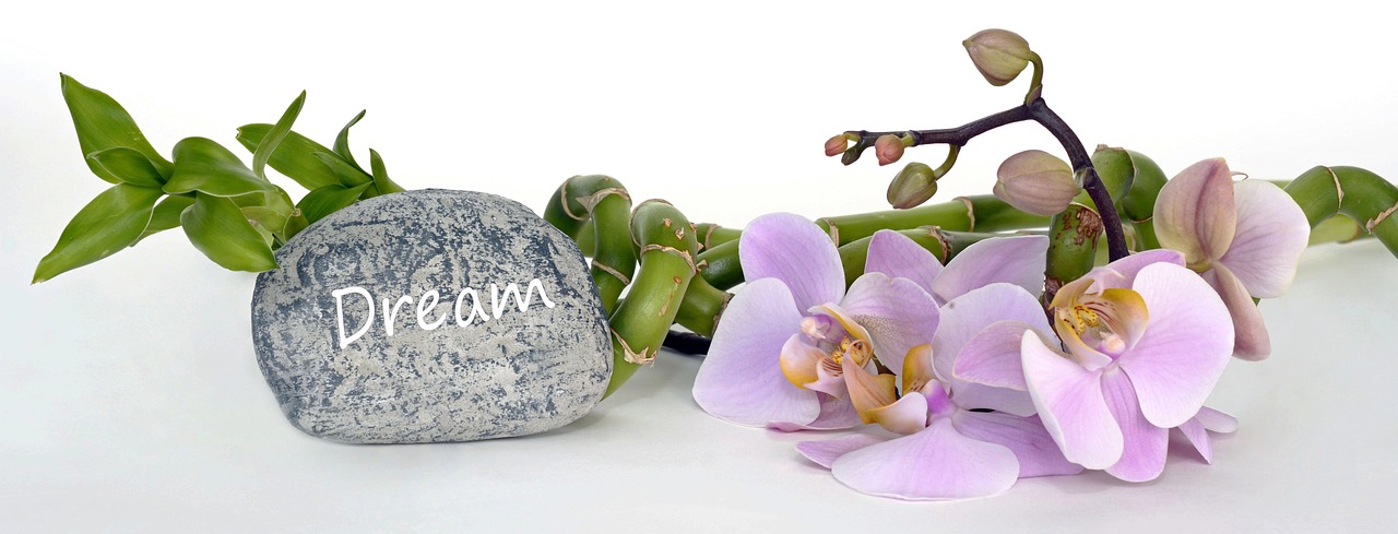 ¿Qué significan los lucky bamboo?