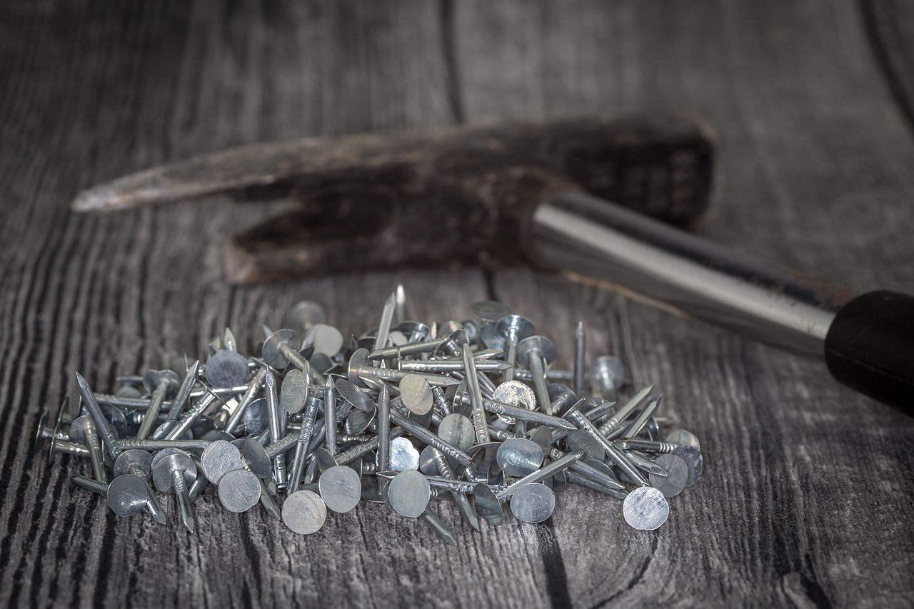 ¿Cuál es la función del zinc en la planta?