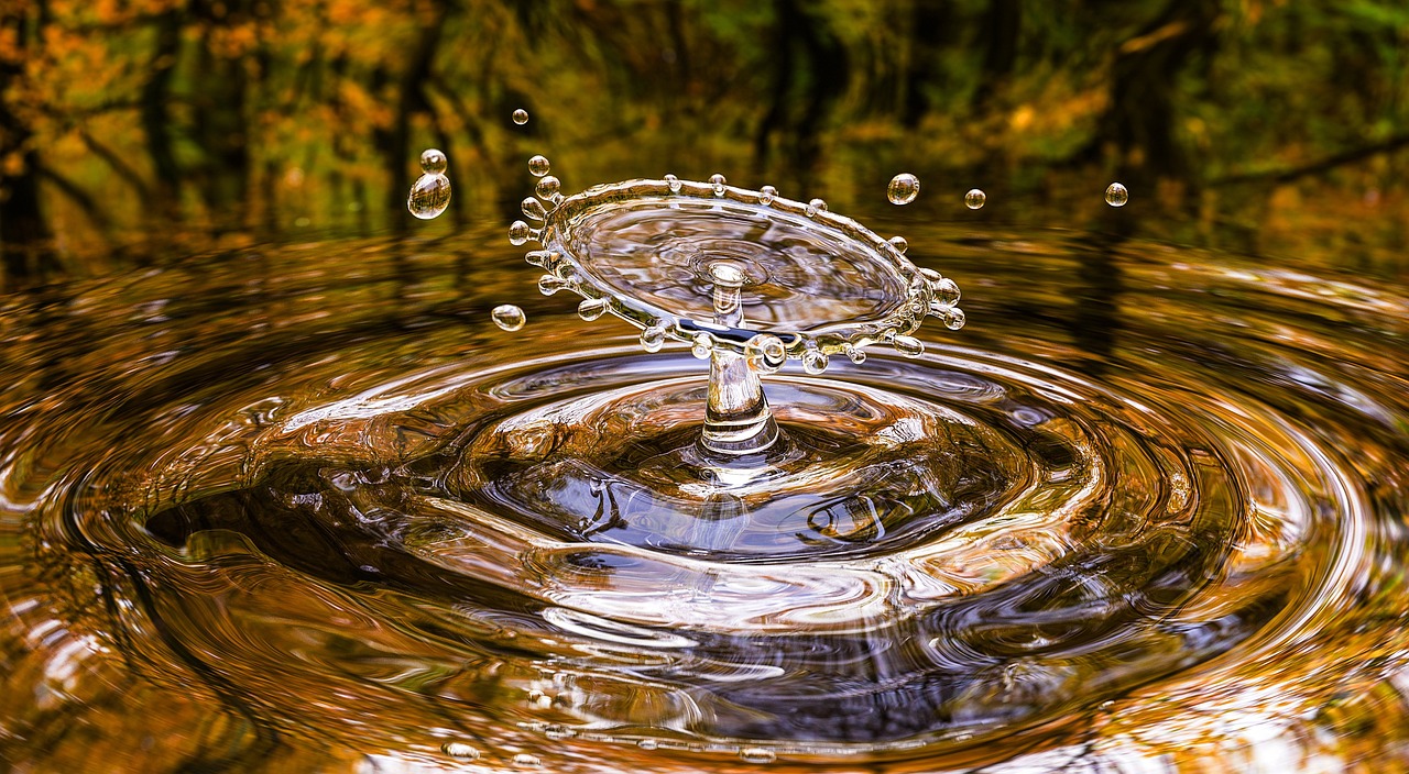 ¿Cuáles son las plantas que crecen en el agua?