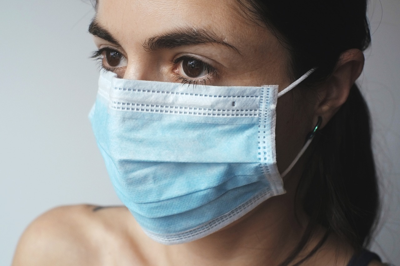 ¿Cuáles son los virus de las plantas?