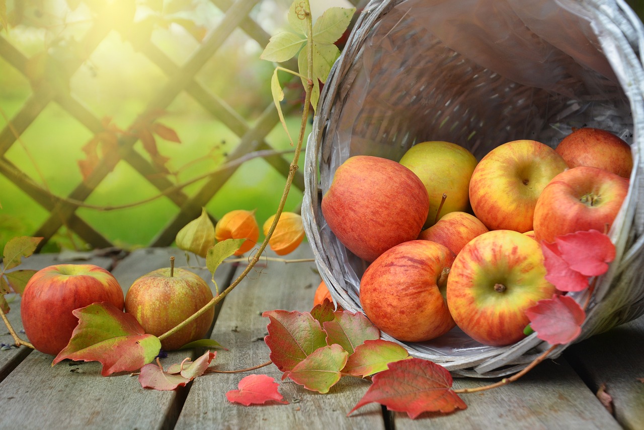 ¿Cuánto tarda en crecer y dar fruto un manzano?
