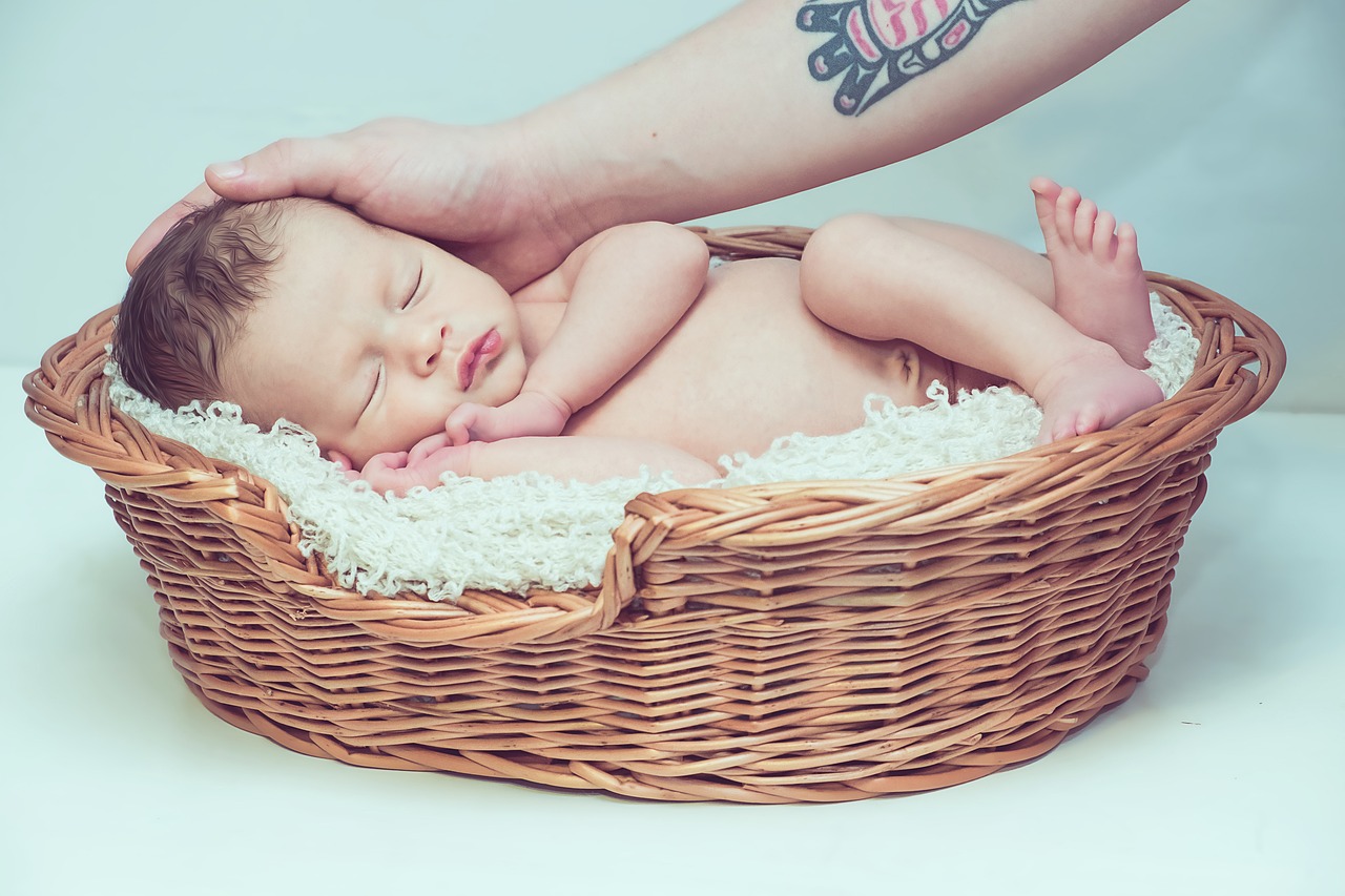 ¿Cómo cuidar la planta de la suegra y la nuera?