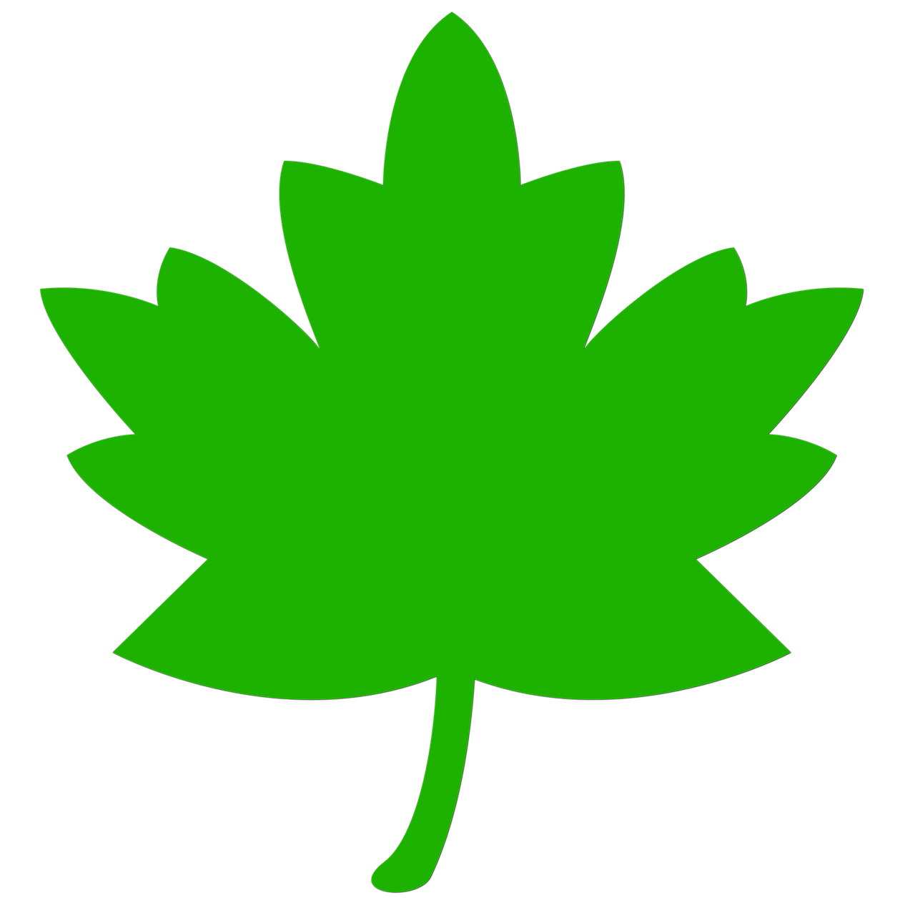 ¿Cómo se cuida la planta Schefflera?